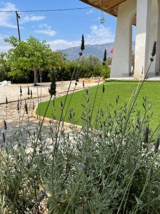 Casa Posidonia Holiday home *